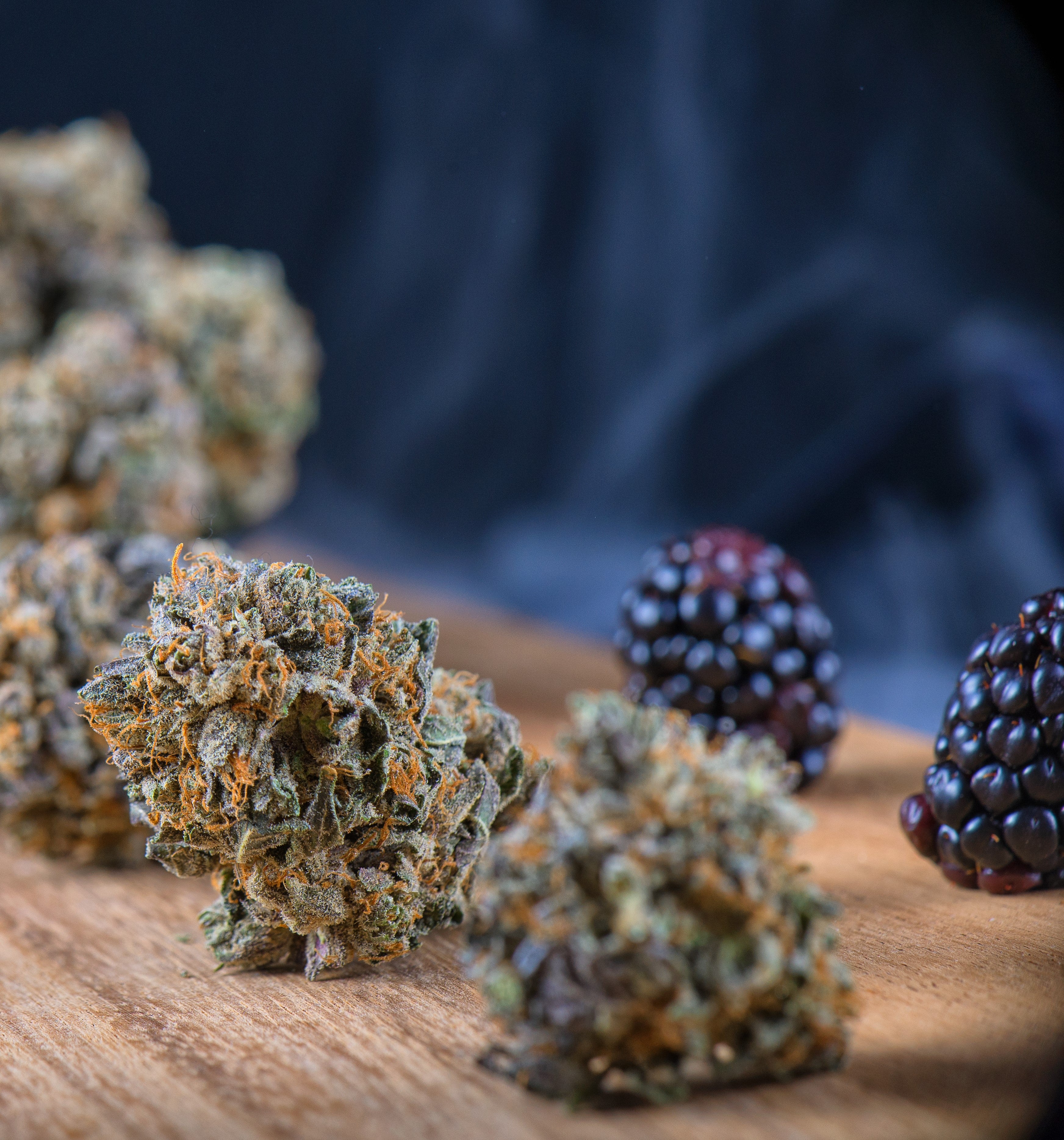 Exploring the World of Terpenes: Understanding Their Impact and Use
